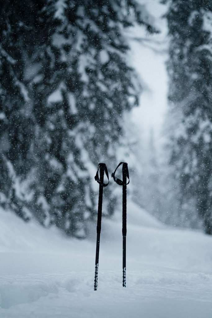 parallel skiën leren